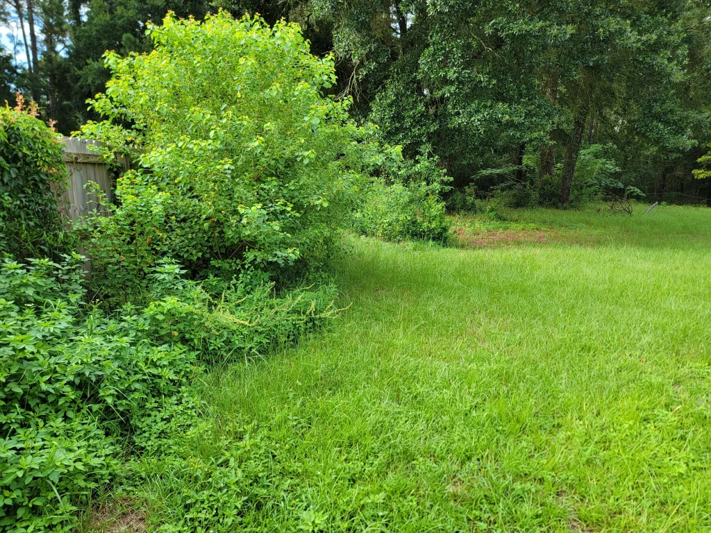 Image of property that is in code violation. We buy houses in any situation.