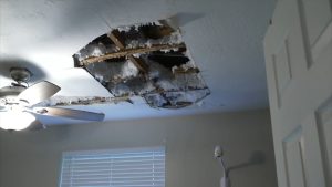 Water-damaged ceiling in Florida home with exposed insulation and structural damage
